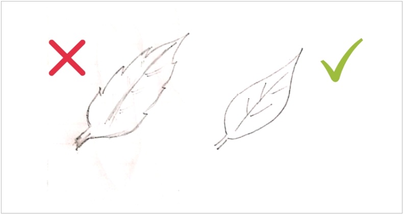 790x420 Rules You Need To Follow For Drawing Biological Diagrams