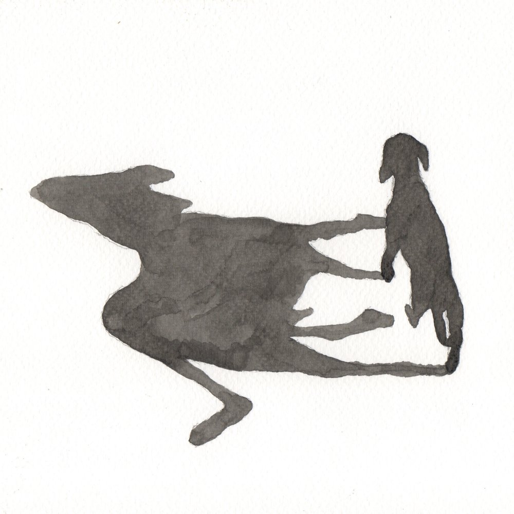 1000x1000 Artwork Hospital Rooms