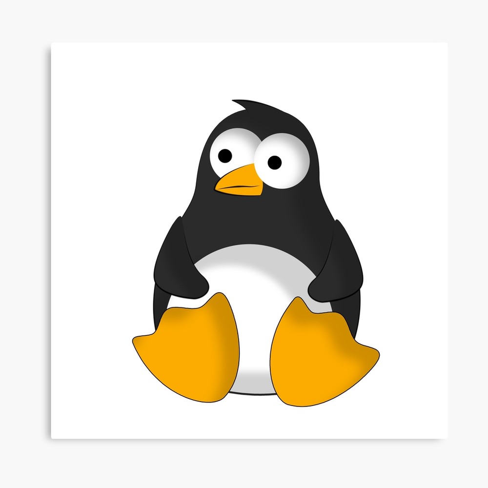 1000x1000 Penguin Cartoon Drawing Canvas Print