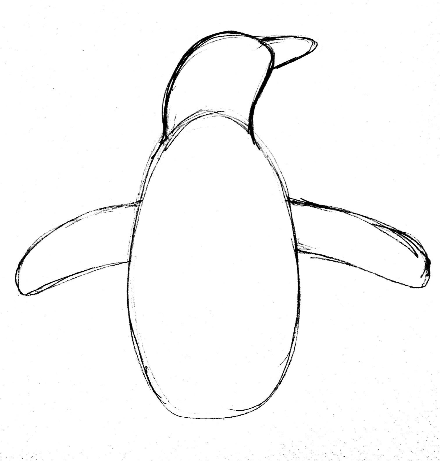 1513x1584 Penguin Drawing Step