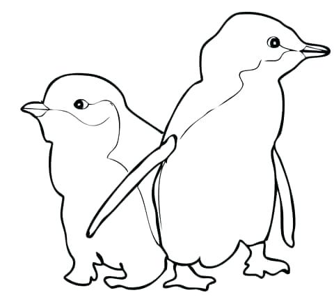 480x433 How To Draw For Little Kids How To Draw Lord Little Color Drawing