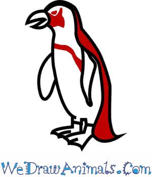 300x350 How To Draw An African Penguin