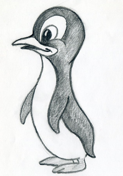 500x714 Huge Collection Of 'penguin Drawing Cartoon' Download More Than
