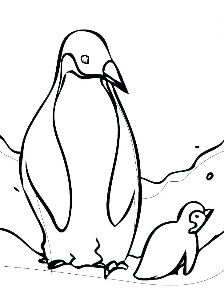 728x942 Simple Penguin Drawing Penguin Simple Step