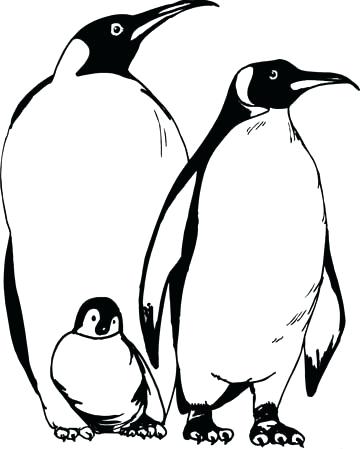 360x449 Penguin Color