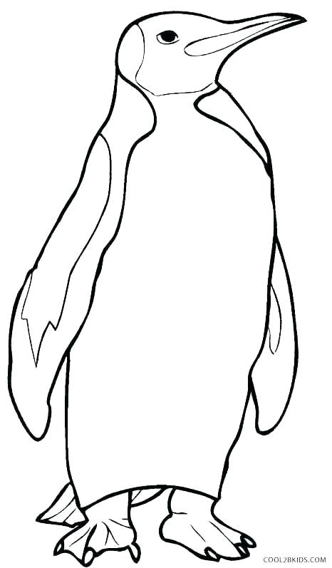 466x797 Coloring Pages Penguin Coloring Coloring Pages Penguin Baby Color