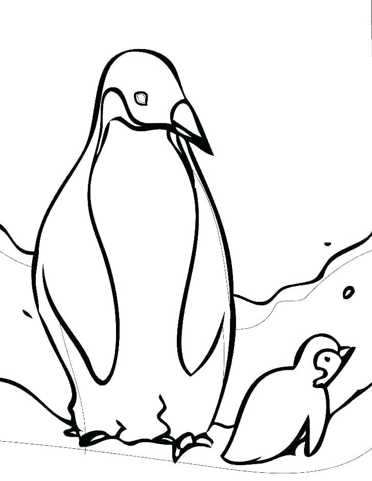 728x942 coloring pictures of penguins coloring penguins free printable