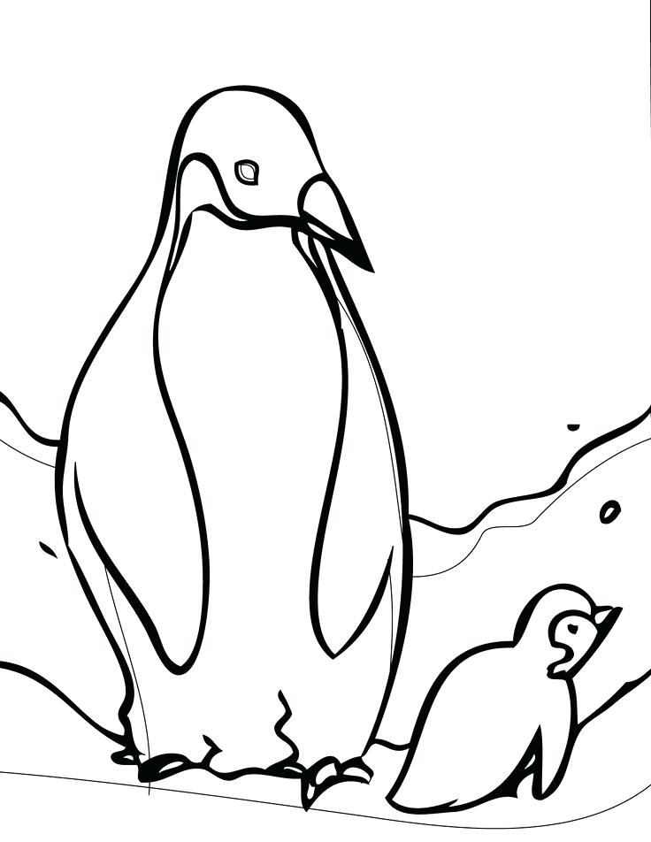 736x952 Penguin Coloring Pages Printable Baby Penguin Drawing At Com Free