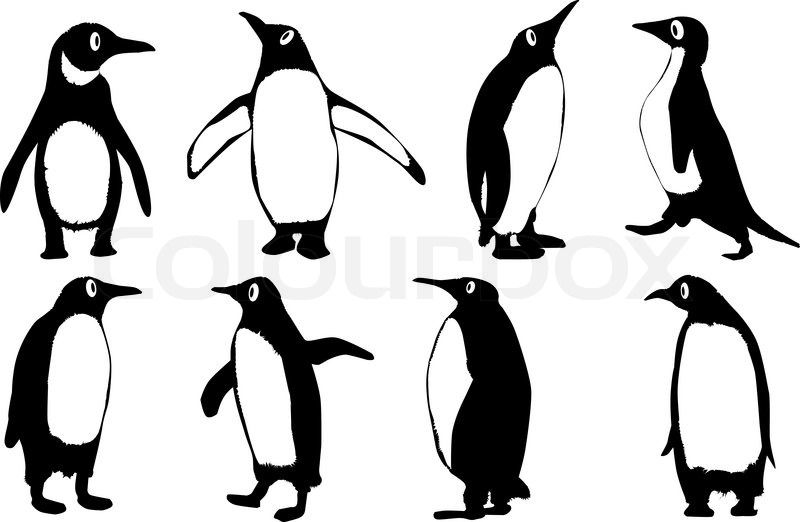 800x522 penguin outlines animals penguin cartoon, penguin outline