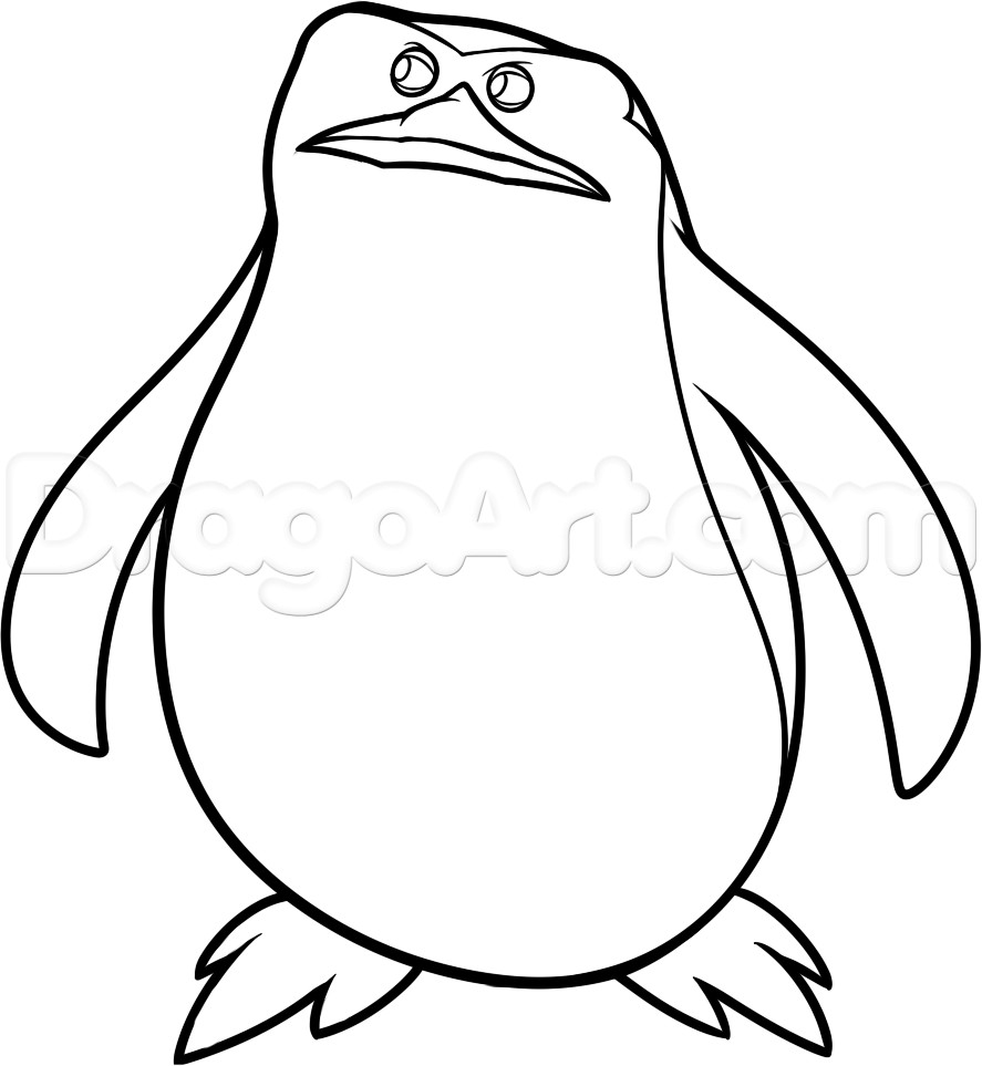 887x963 How To Draw A Penguin Penguin Drawing Step