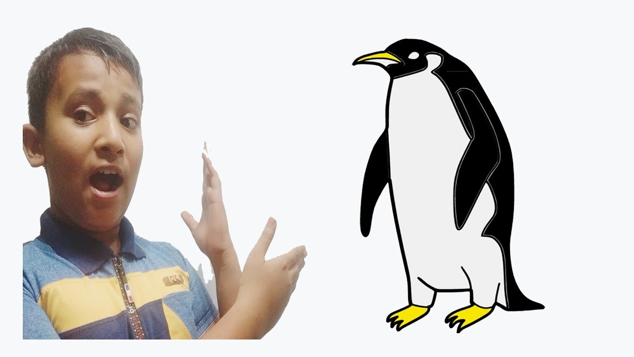 1280x720 How To Draw A Penguin Easy And Slowly Step