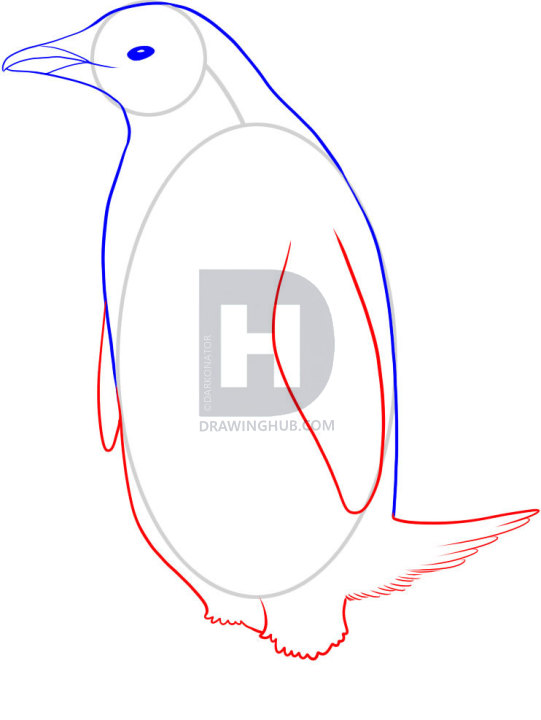 541x720 How To Draw A Penguin, Step