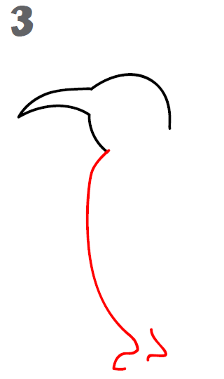 320x540 How To Draw A Penguin
