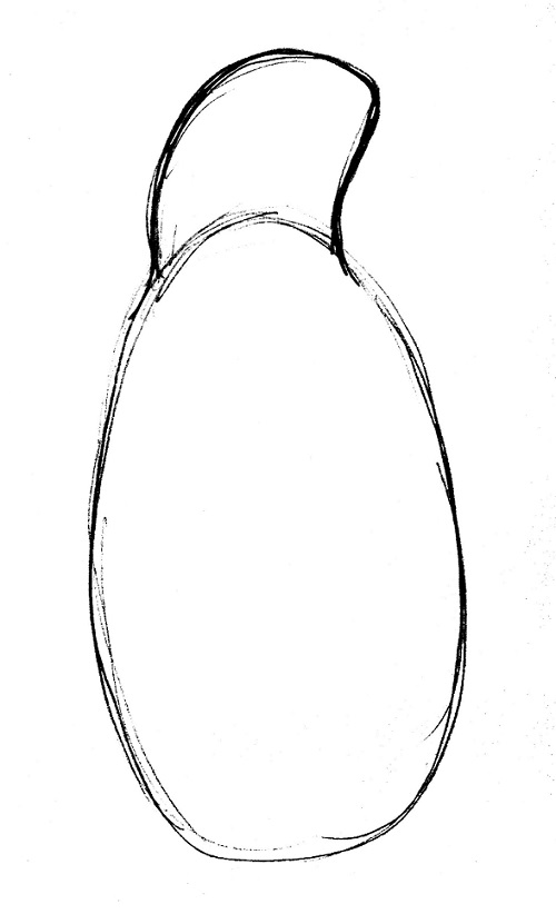 500x822 Penguin Drawing Step