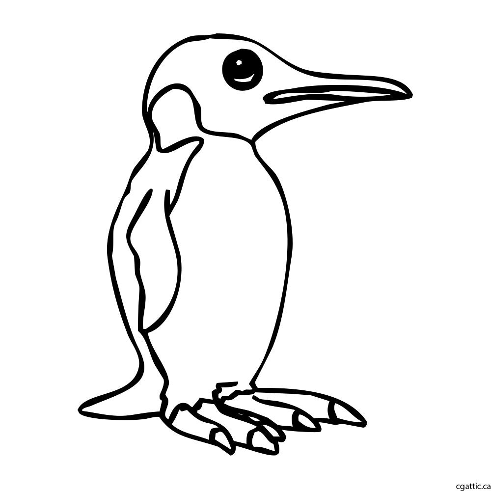 1000x1000 Penguin Cartoon Drawing In Steps With Photoshop The Digital