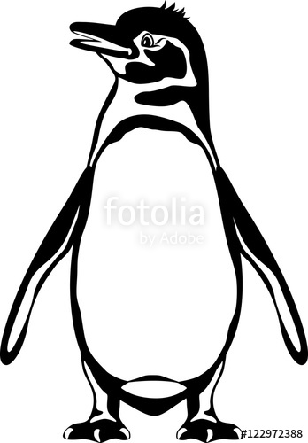 348x500 Galapagos Penguin Black And White Outline Stock Image