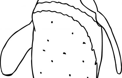 420x270 Penguin Outline Drawing Cute Coloring Pages Of Baby Penguins
