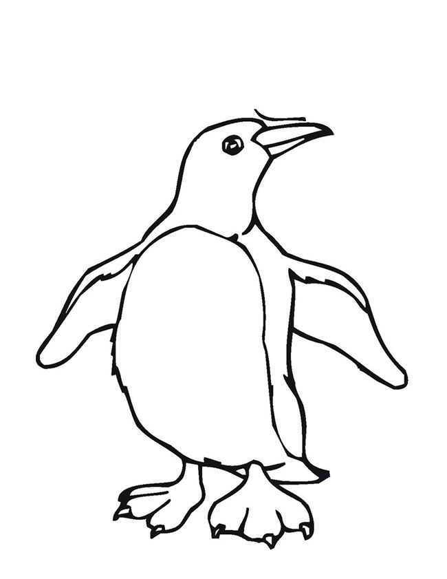 650x841 Penguin Template