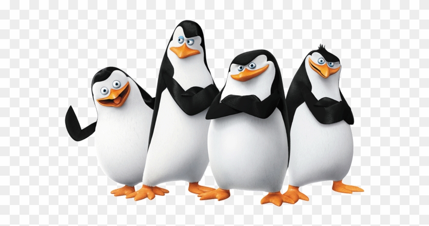 880x463 King Penguin Clipart Madagascar Name