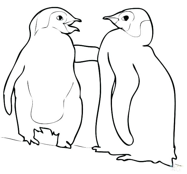 618x574 Penguins Coloring Pages Download Free Printable And Coloring Pages