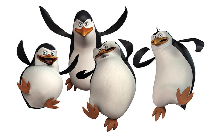 900x572 Penguins Of Madagascar Drawing