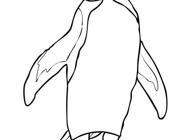 640x480 Penguins Of Madagascar Clipart King Penguin