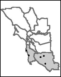 200x250 celebrating fifteen years south bay peninsula california