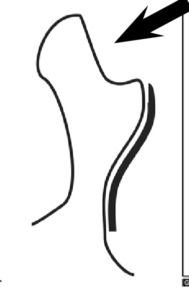 377x576 The Study Site