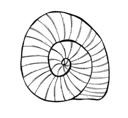 260x240 download penny black and white clipart penny clip art