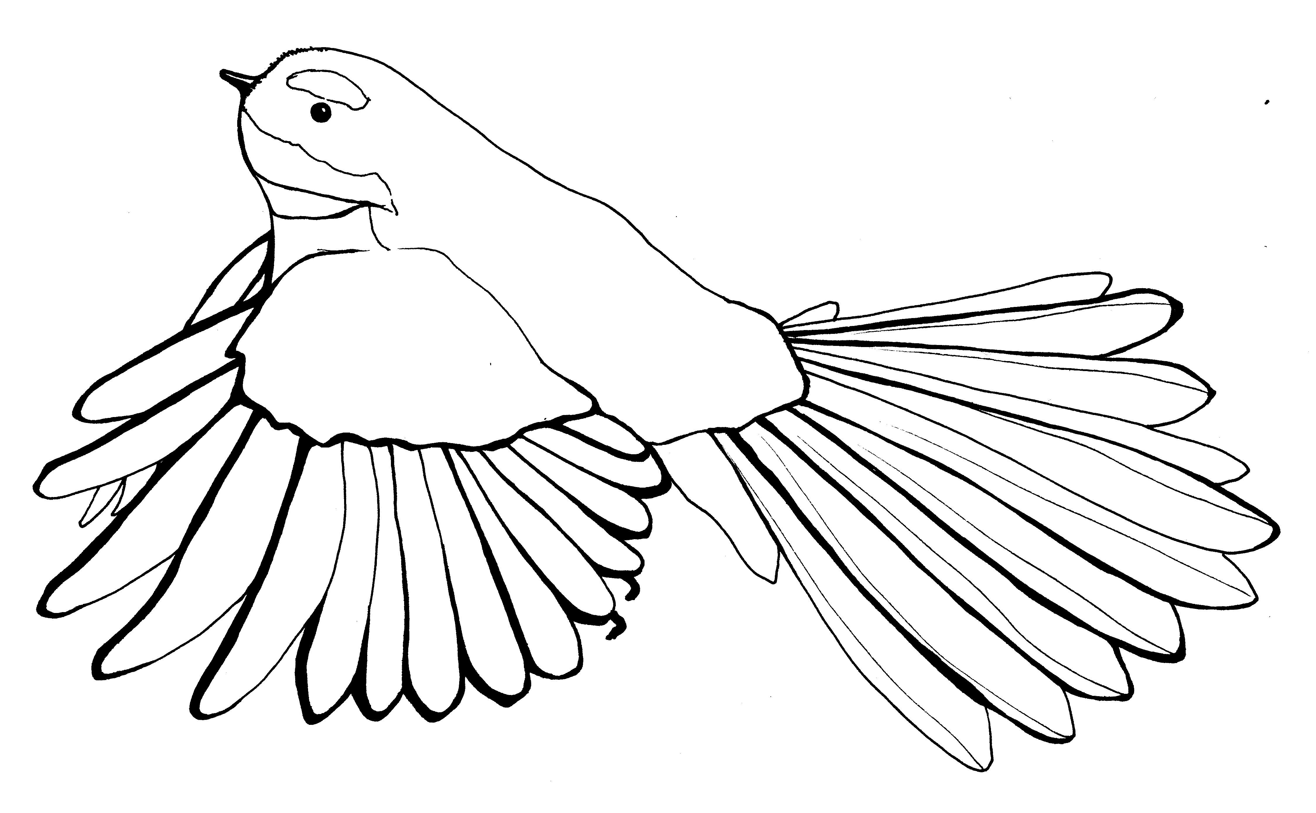 4494x2776 Kiwiana Illustrations Penny Royal Design