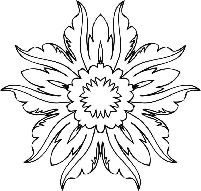 789x750 Flower Designs Line Drawing