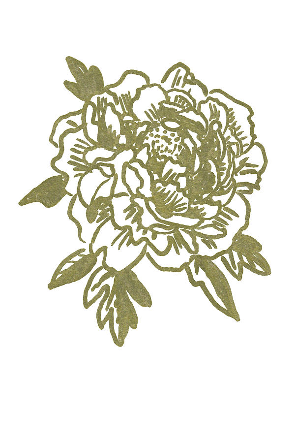 600x900 Golden Peony Drawing