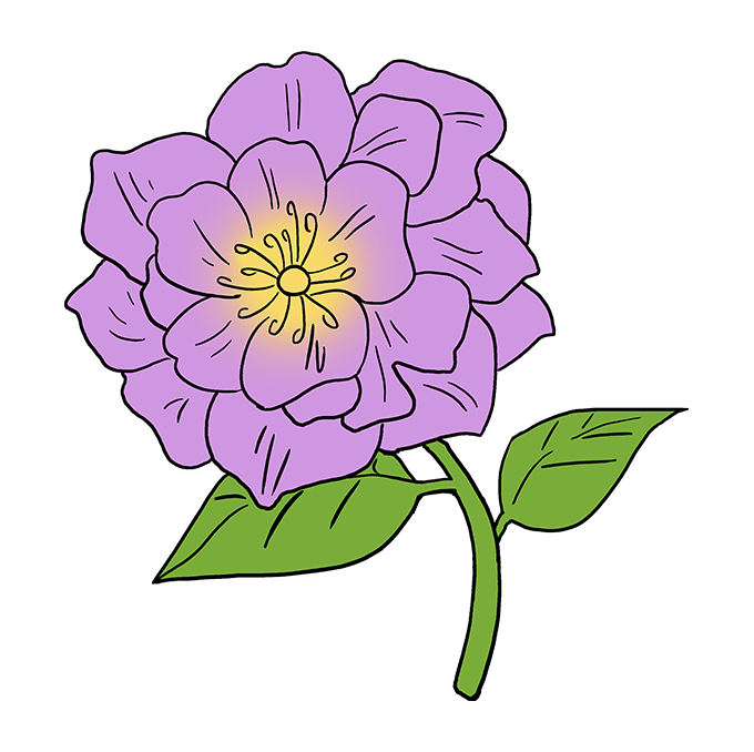 680x678 How To Draw A Peony