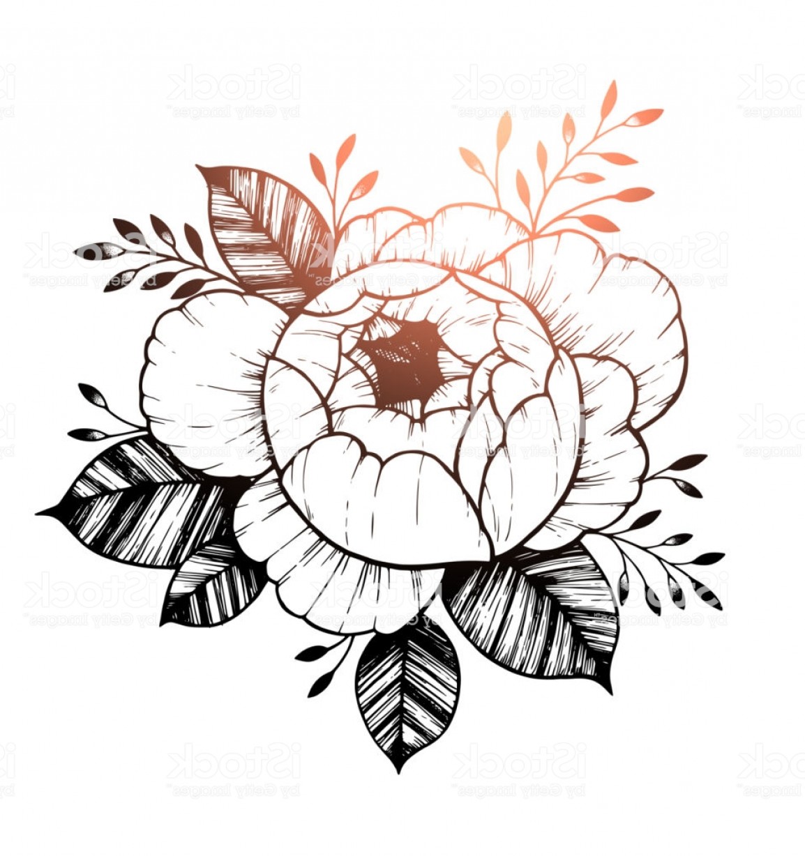 1154x1228 Peony Flower Tattoo Drawing