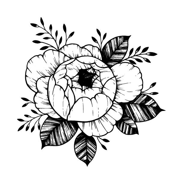 575x612 Peony Tattoo Line Drawing