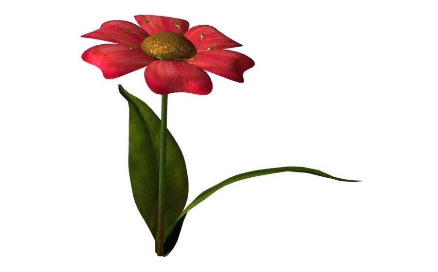 900x560 Flowers Drawing