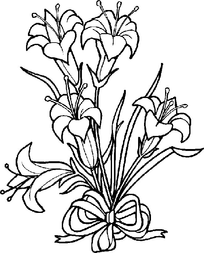 Peony Flower Drawing