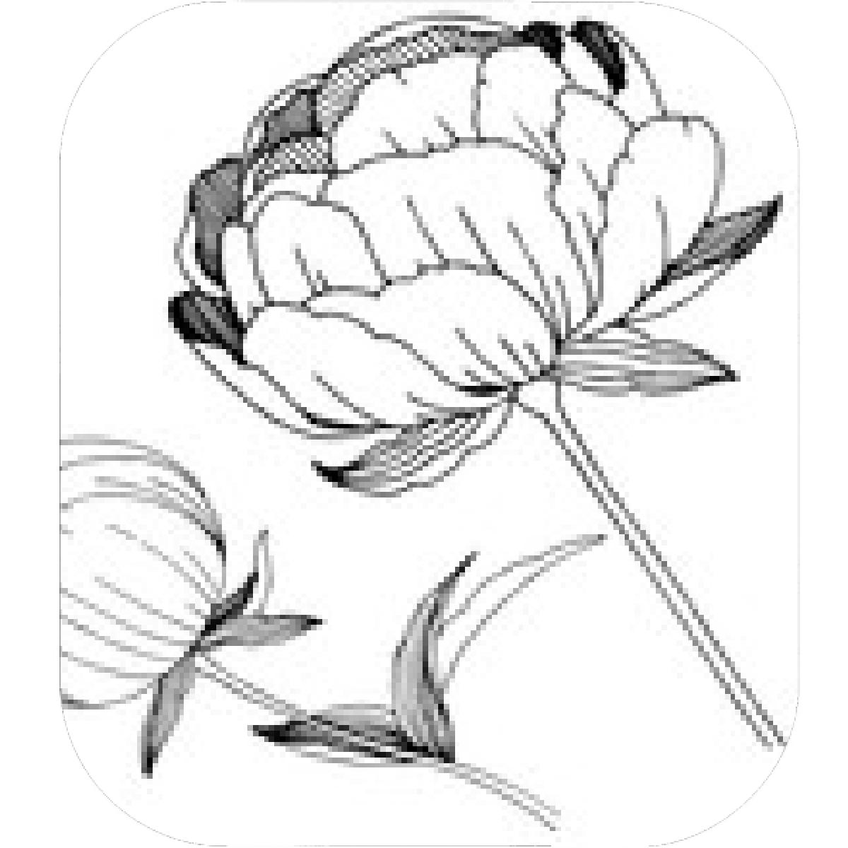 1200x1200 Designs Mein Mousepad Design Mousepad Selbst Designen