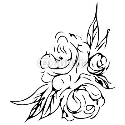 400x400 hand drawn abstract peonies flowers isolated on white floral