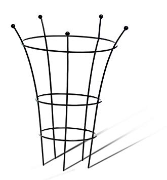 330x355 Medium Peony Support Garden Outdoors