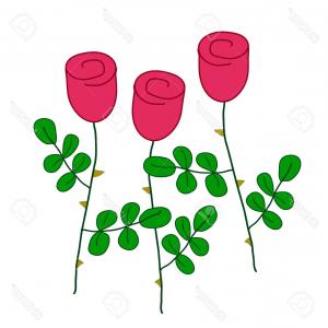 300x300 Peony Flower Leaves Line Drawing Vector Hand Drawn Outline Floral