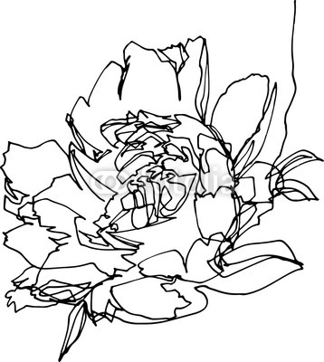 358x400 Peony Flower Close Up, Minimalist Illustration Buy Photos Ap