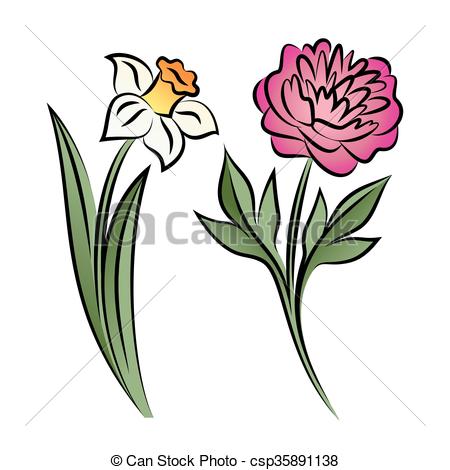 450x470 Set Of Two Outlined Flowers Peony And Narcissus In Sketch Hand