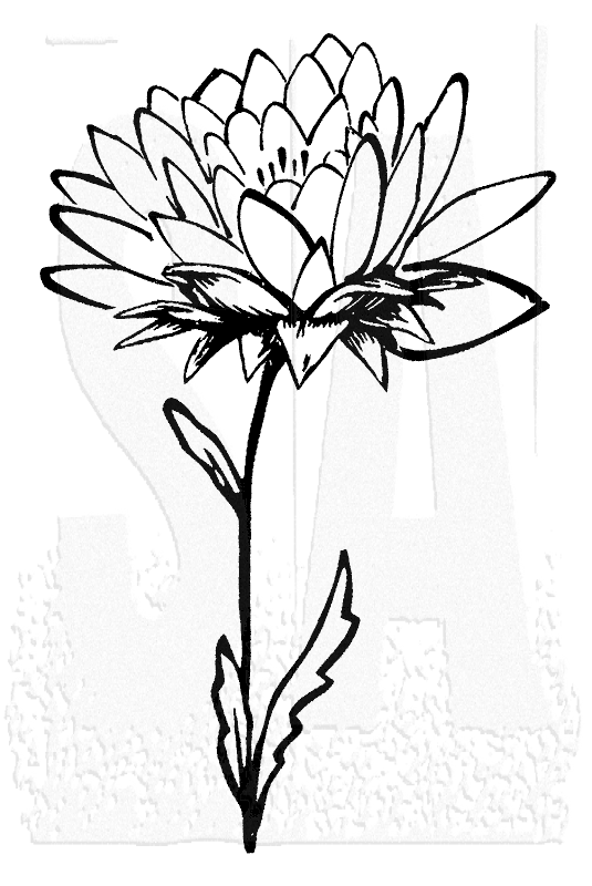 535x800 wendy vecchi wood mounted stamp