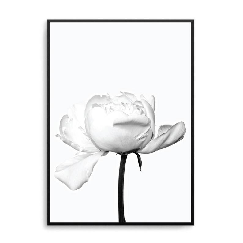 794x794 white peony print white peonies art poster scandi print poster etsy