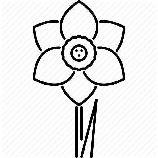 512x512 Narcissus Drawing Outline Transparent Png Clipart Free Download