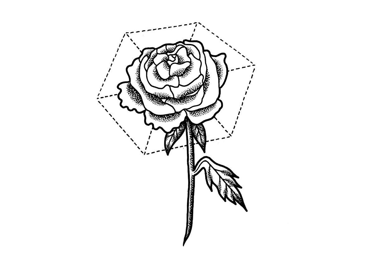 Peony Outline Drawing | Free download on ClipArtMag