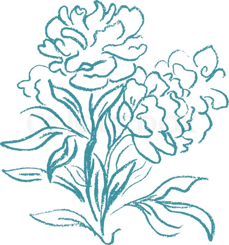 749x800 Beautiful Peony Bouquet Design On Stock Vector Colourbox