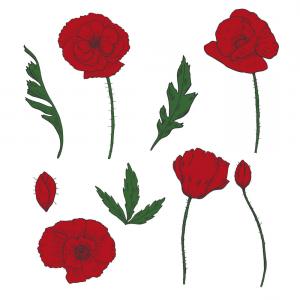 300x300 Drawing Flowers Peony Flower Clipart Illustration Lazttweet