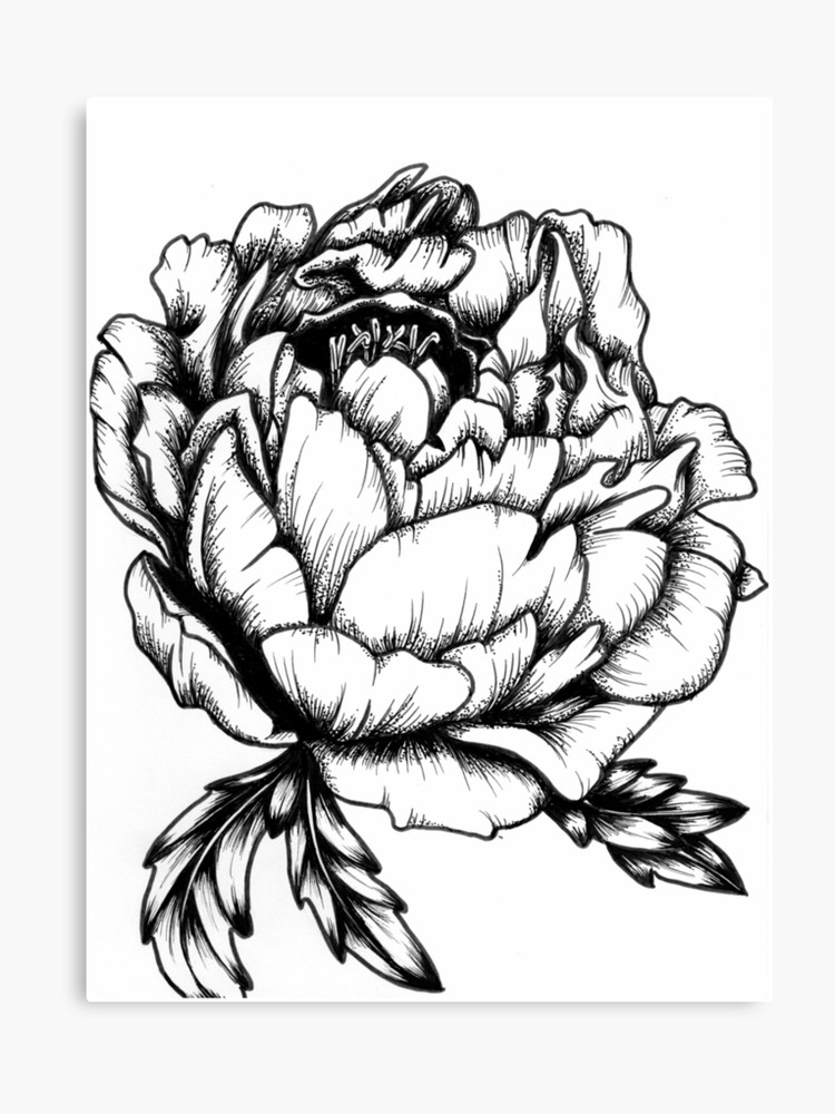 750x1000 Peony Tattoo Design Canvas Print